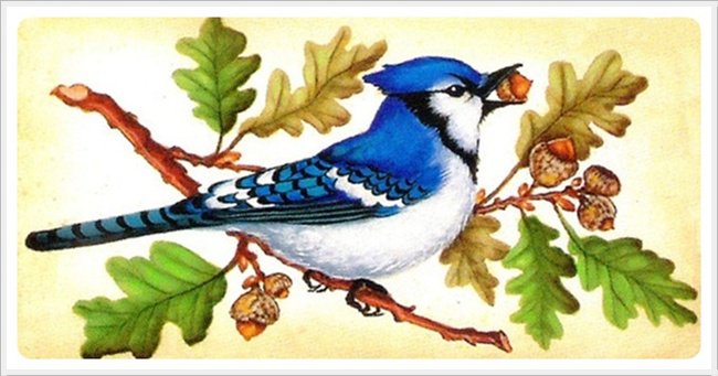 птица на дереве - оригинал