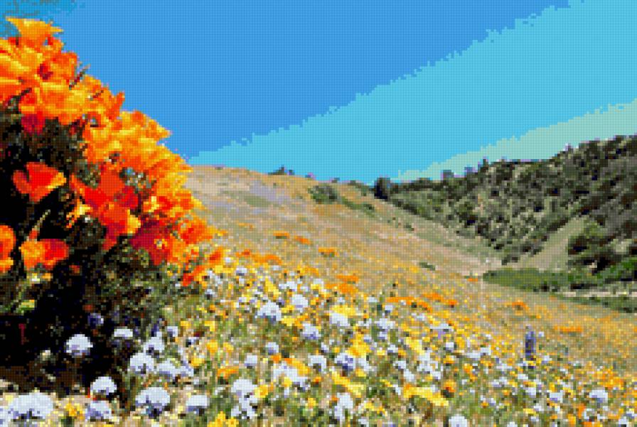 Peizaj 1 - makove, peizaj - предпросмотр