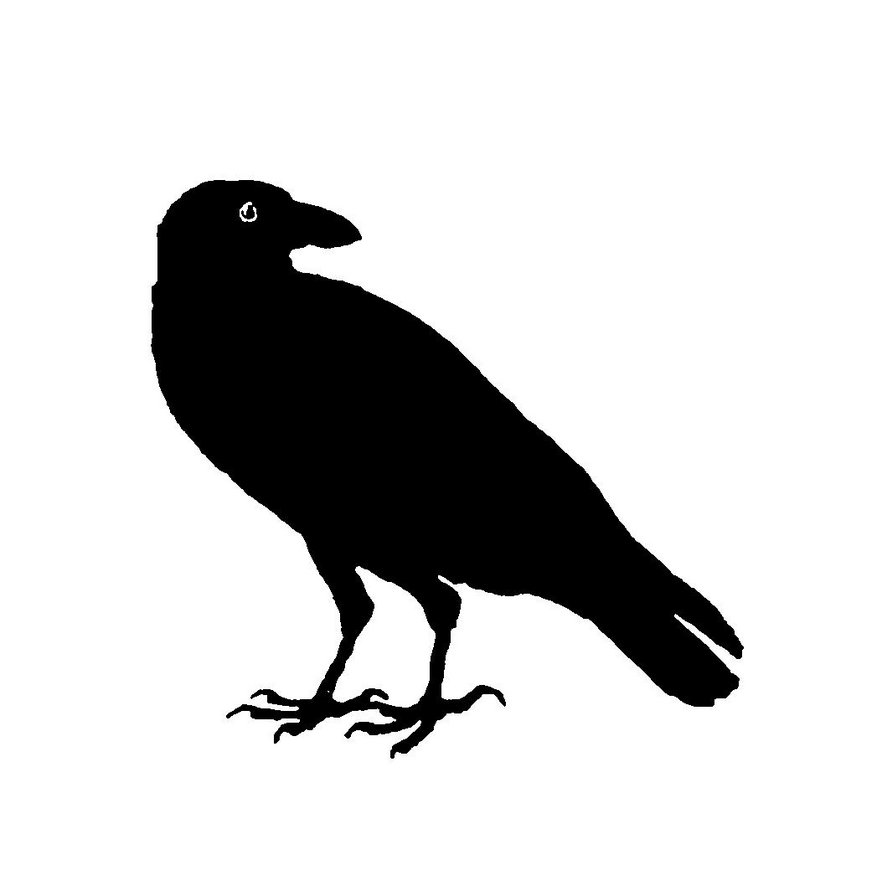 Ворон - ночь, птица, ворон, э.а. по - оригинал