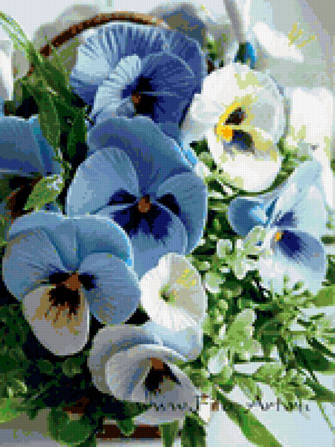 анютины глазки - цветы - предпросмотр