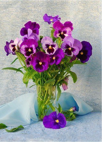 анютины глазки2 - цветы - оригинал