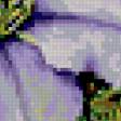 Предпросмотр схемы вышивки «клематис» (№383029)