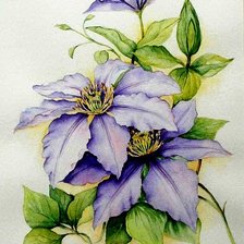 Схема вышивки «клематис»