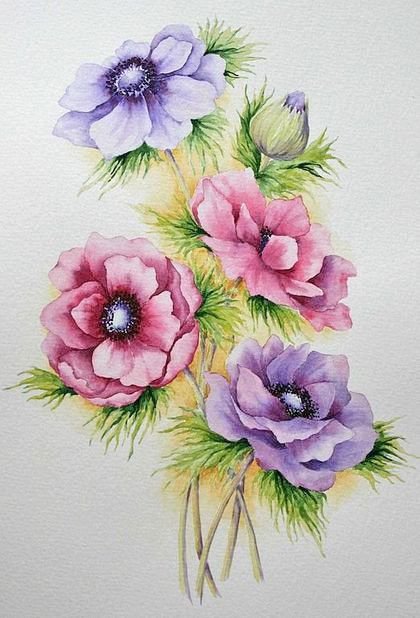 анемоны - оригинал