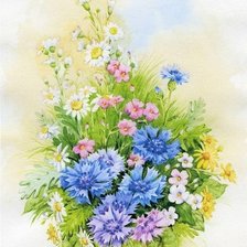 Схема вышивки «полевые цветы»