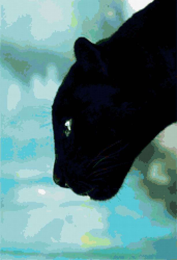 пантера - кот, глаза, черный кот, кошки, животные, пантера - предпросмотр