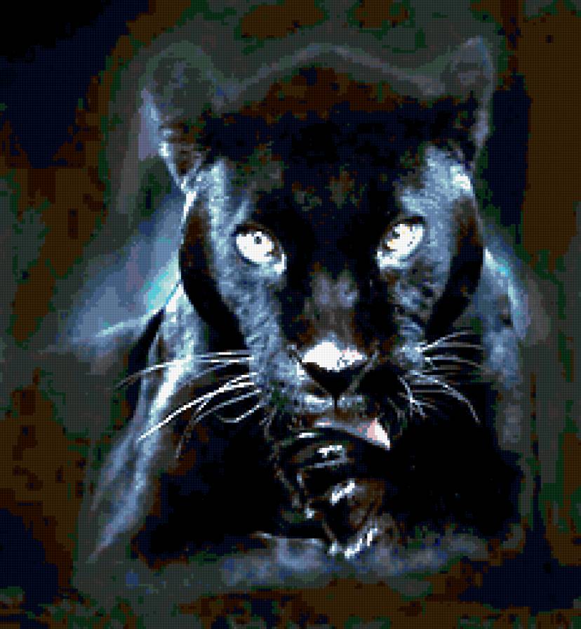 пантера - глаза, кошки, черный кот, кот, кошка, пантера, животные - предпросмотр