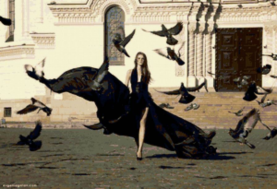 девушка и голуби - она, женщина, голуби, девушка, образ - предпросмотр