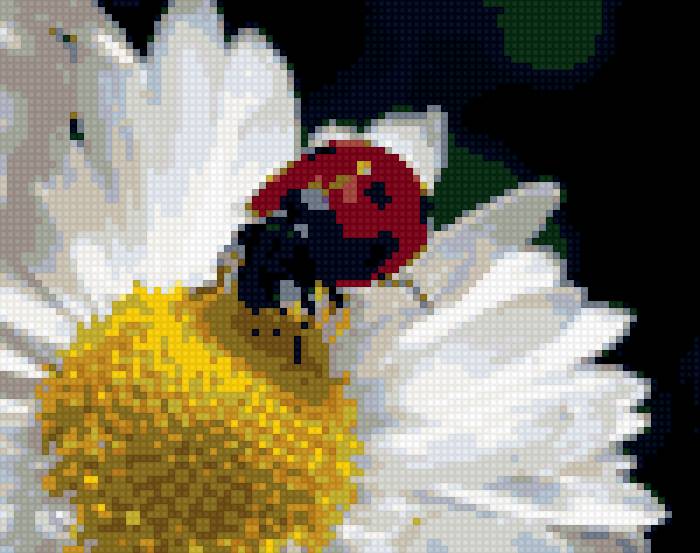 Коровка - насекомые, природа - предпросмотр