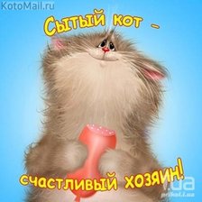 Схема вышивки «КОТ»