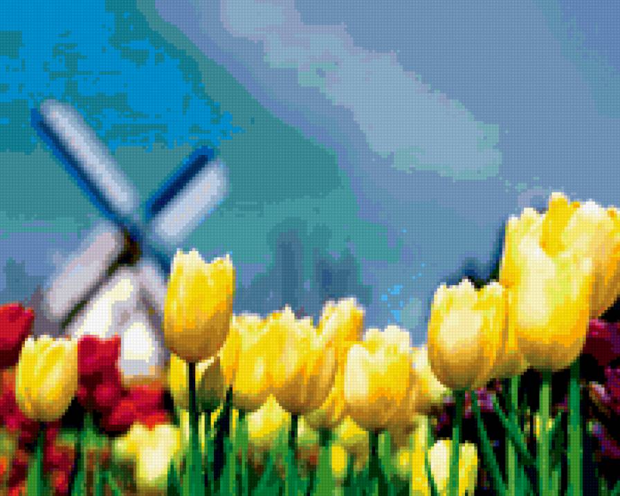 Тюльпаны - тюльпаны - предпросмотр