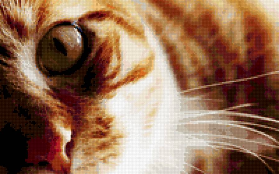 котэ - усы, глаз - предпросмотр