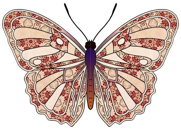 бабочка - насекомые, бабочка, природа, красота - оригинал