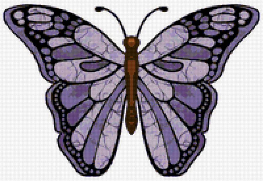 бабочка - насекомые, красота, бабочка, природа - предпросмотр