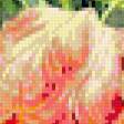Предпросмотр схемы вышивки «тюльпаны» (№384164)