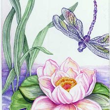 лотос и стрекоза