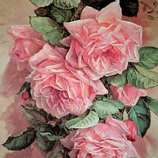 Схема вышивки «розы»