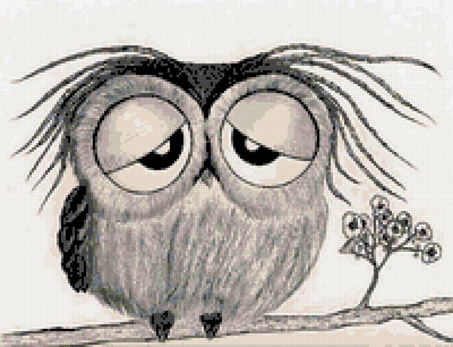 Грустная совушка - сова, грусть, животные, птицы, глаза - предпросмотр
