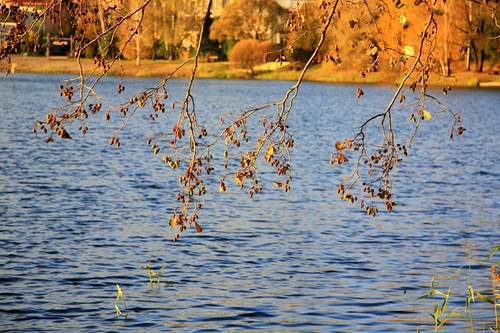 Осенний мотив - вода, природа, осень, листья - оригинал