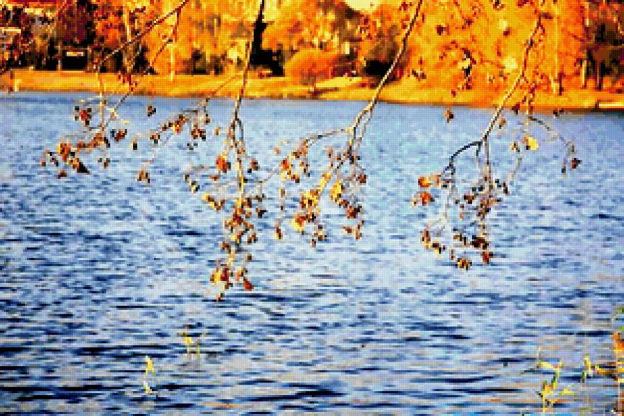 Осенний мотив - вода, листья, осень, природа - предпросмотр