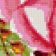 Предпросмотр схемы вышивки «розы» (№384523)