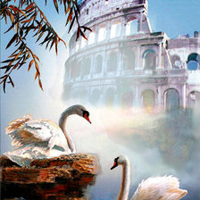 пара лебедей