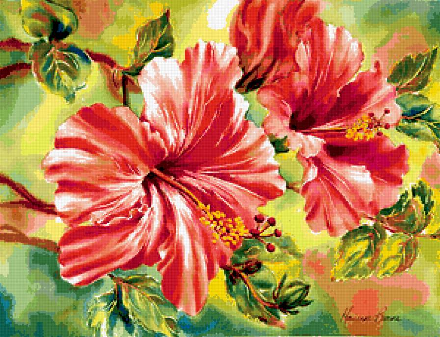 гибискус - предпросмотр