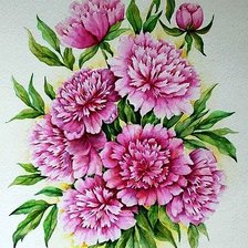 Схема вышивки «пионы»