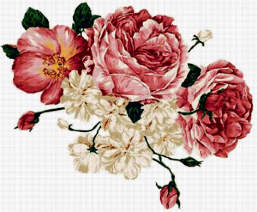 Розы - предпросмотр