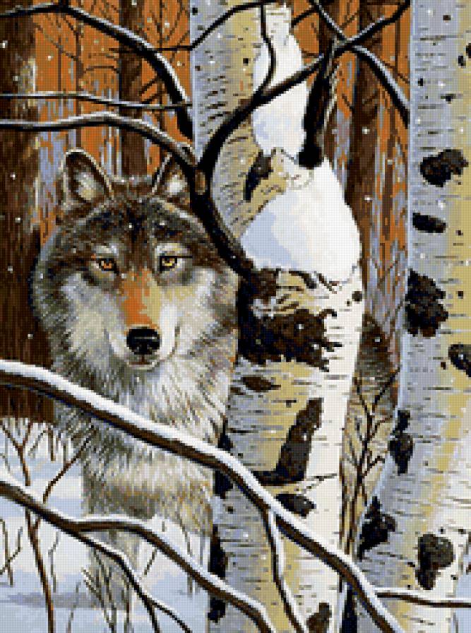 волк - предпросмотр