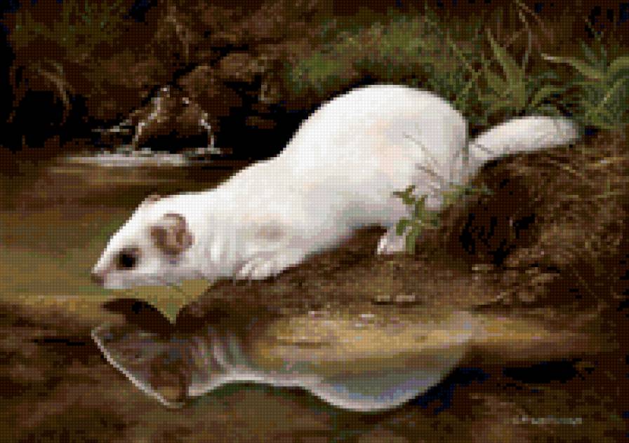 №385374 - предпросмотр