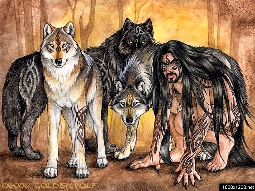 Волки-оборотни - оборотень, волки - оригинал