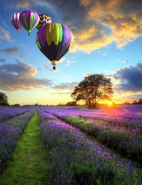 Шары - оригинал