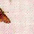 Предпросмотр схемы вышивки «№385646»