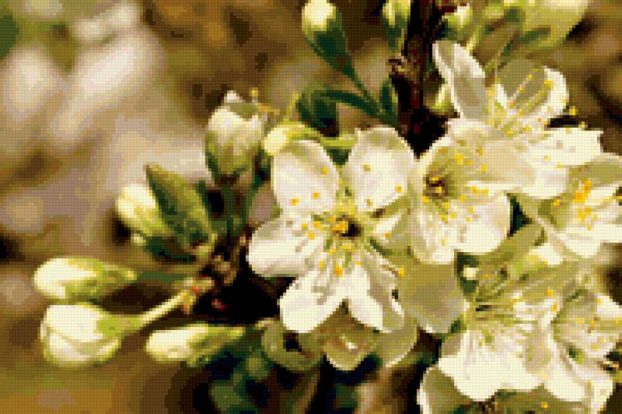 ветка - предпросмотр