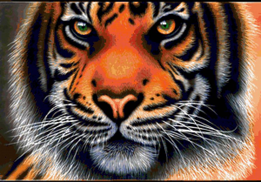 Серия "Большие кошки" - тигры, животные, кошки - предпросмотр
