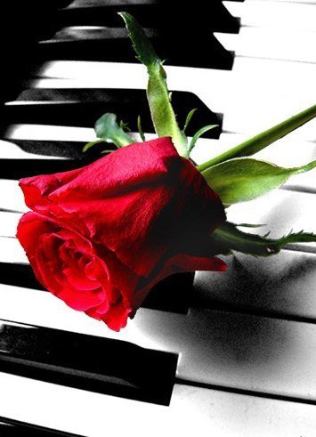 роза на рояле. - оригинал