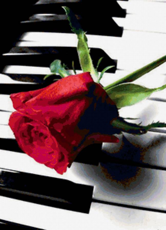 роза на рояле. - предпросмотр