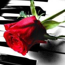 Схема вышивки «роза на рояле.»