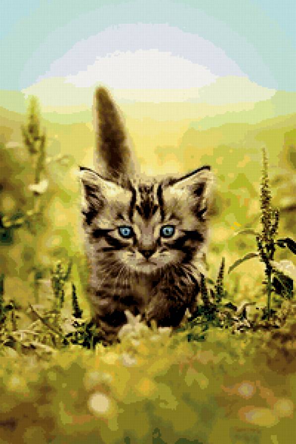 Котенок - животные, котенок - предпросмотр