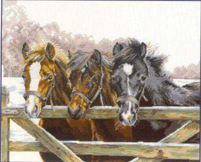 Тройка лошадей - кони, животные, тройка, лошадь, конь - оригинал