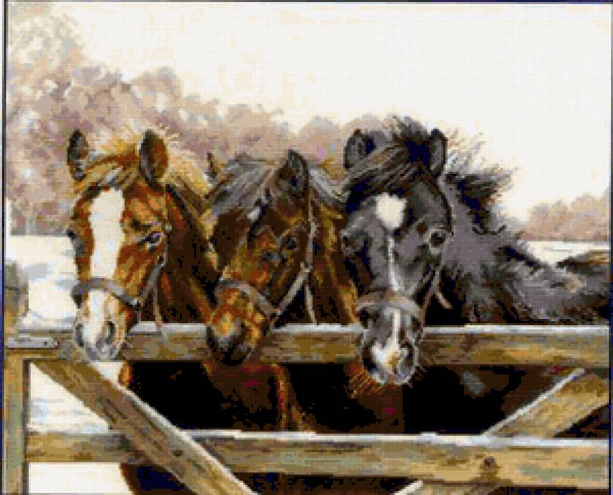 Тройка лошадей - животные, лошадь, конь, тройка, кони - предпросмотр