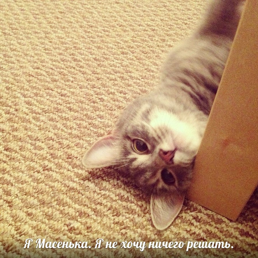 №386168 - оригинал