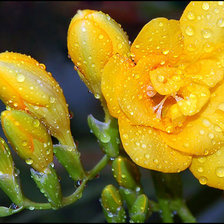 Схема вышивки «№386244»