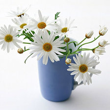 Схема вышивки «№386246»