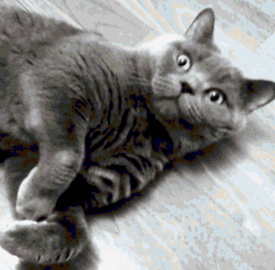 байт (черно белое) - черно белое, кошки, животные - предпросмотр