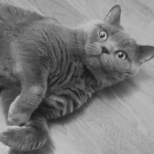 Схема вышивки «байт (черно белое)»