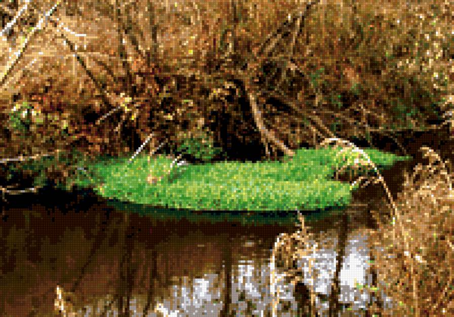 заводь - природа, пейзаж, вода - предпросмотр