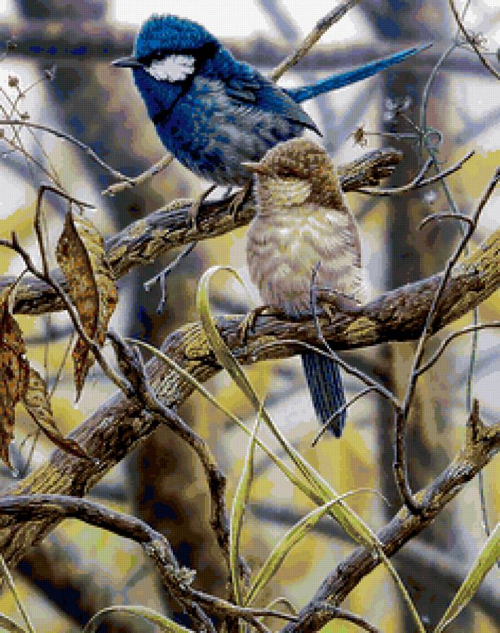 птички2 - предпросмотр