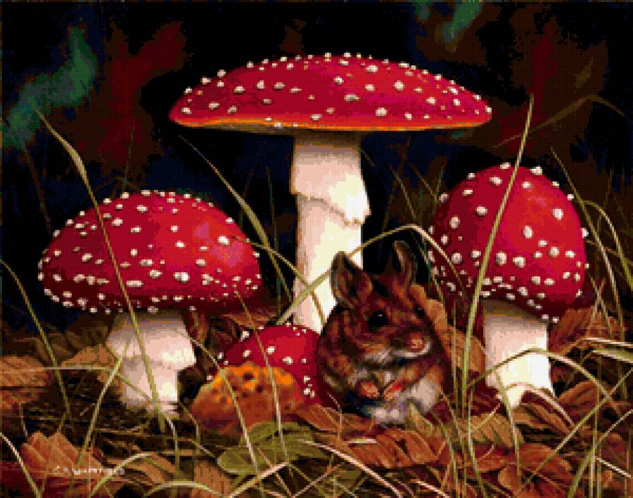 грибочки - предпросмотр